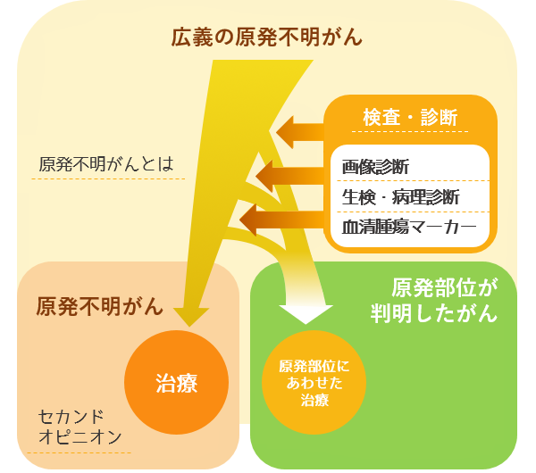 原発不明がんを知る｜がんサポートサイトえひめ